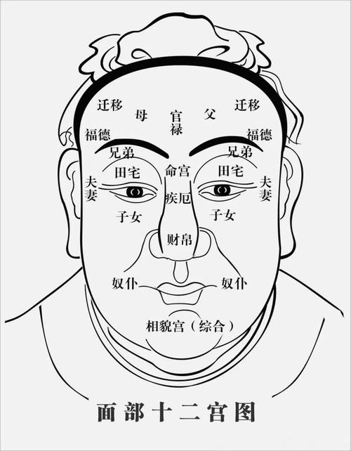 怎样找前世姻缘痣图解(怎样寻找前世)