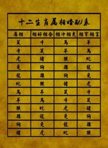 属相配对姻缘测试网(属相配对查询 婚姻状况)