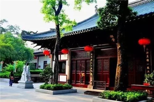 姻缘劫柳岱玄王府(姻缘劫贴吧)