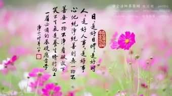 美满姻缘今朝合下联是(美满姻缘的意思)