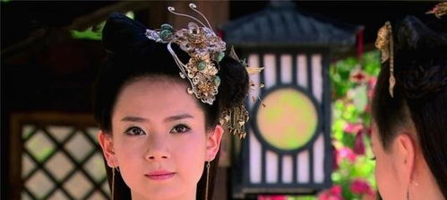 卫子夫公主的姻缘是什么(卫子夫公主的姻缘是什么意思)