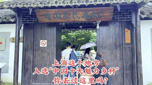 上海农村求姻缘的地方(上海农村求姻缘的地方叫什么)