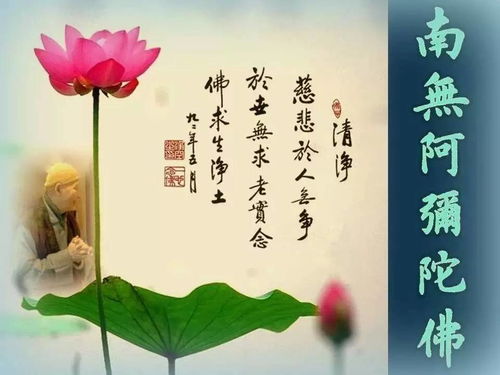 念什么佛号可以求姻缘(念佛号求得好姻缘)