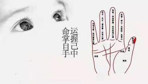 面相看夫妻姻缘准吗(从面相看出夫妻感情不好)