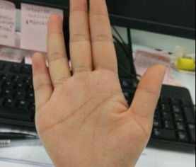 女人最佳手相怎样看姻缘(女人手相看婚姻)