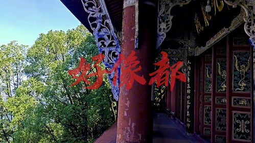 重庆老君洞姻缘菩萨找谁(重庆老君洞道观求的签准吗)