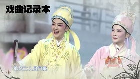 梁祝姻缘王文娟徐玉兰版(琴书梁祝姻缘)