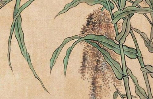 男属鸡哪年有姻缘的(属鸡男在哪年结婚最佳)