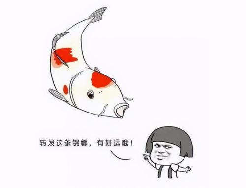 下午可以求姻缘吗请问(算姻缘下午可以问吗)