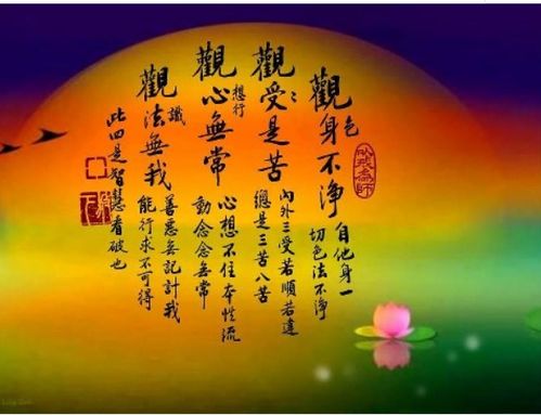 与姻缘有关的佛法(佛教关于姻缘的句子)