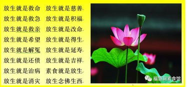 放生回向自己求姻缘(放生求得好姻缘)