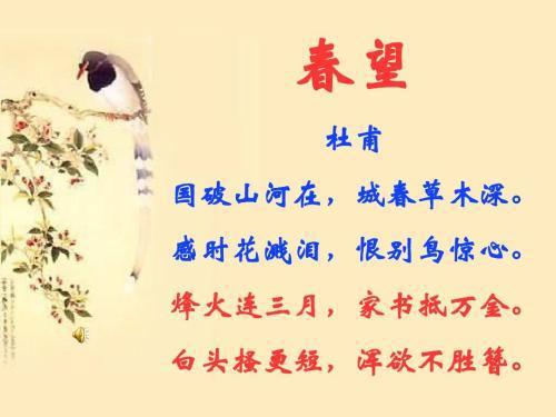 男女姻缘古语怎么表达(男女姻缘古语怎么表达的)