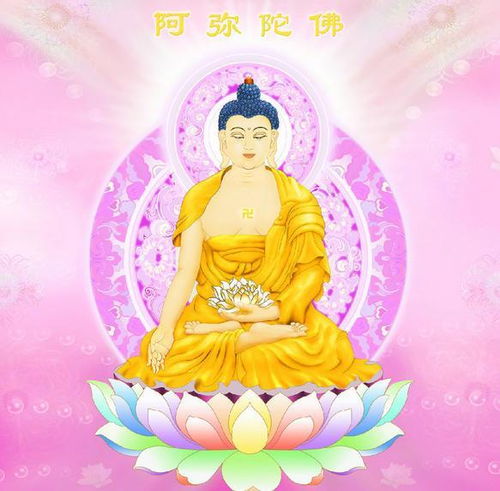 怎样向菩萨求姻缘(怎么向菩萨求财)