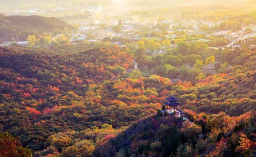 北京的求姻缘的(北京求姻缘的山)