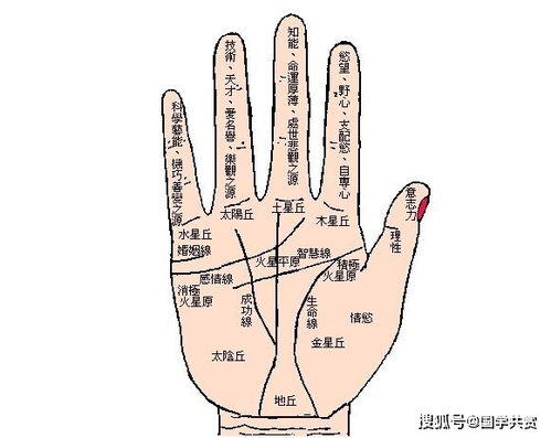 如何从掌纹看姻缘(掌纹怎么看姻缘)
