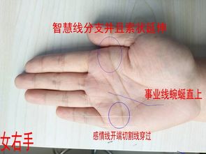 手掌姻缘线非常长(手相姻缘线多少岁结婚)