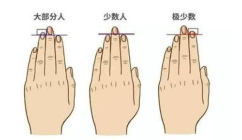 手纹看你姻缘如何化解(手纹可以看出婚姻吗)