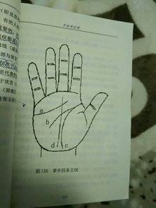 姻缘线可以改吗(姻缘线会断吗)