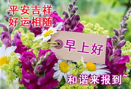 祝早日找到好姻缘(早日找到好姻缘四字成语)