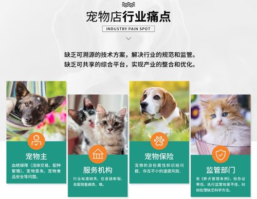 宠物姻缘市场背景结尾(宠物缘分)