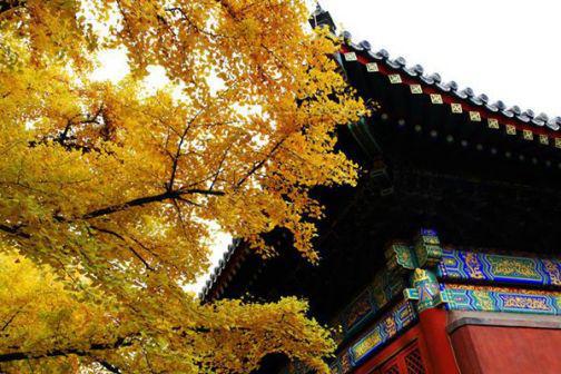 红螺寺前定姻缘(红螺寺求的姻缘在哪个)