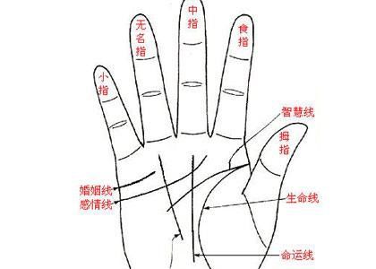手相看女生姻缘线(看女人手相婚姻线视频)