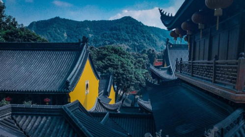 求姻缘少去寺庙行吗(去求姻缘可以求自己和对方的吗)