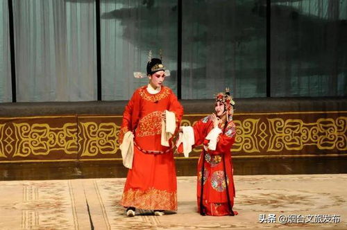 豫剧巧配姻缘下载(豫剧错配姻缘)