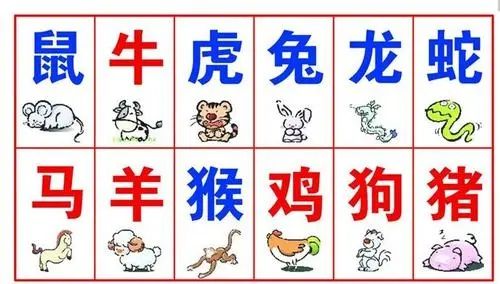 生肖测姻缘配对表(生肖配对免费测试)