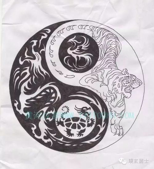 青龙白虎如何看姻缘(青龙白虎怎么确定)