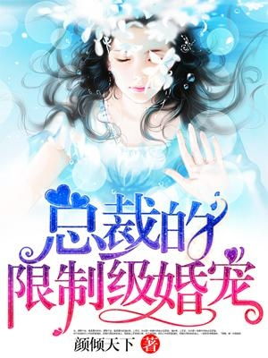 天定姻缘i小说(天定姻缘gl2)