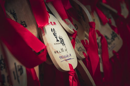 甲申日女姻缘方位(甲申日女人命都不好吗)