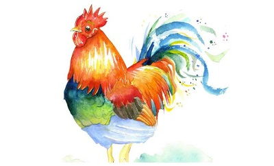 2017年鸡的姻缘(2017年属鸡命运如何)