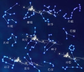 1996年正月十四姻缘(1996年农历正月14日是什么星座)