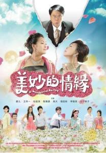电视奇遇姻缘在线观看(电视奇遇姻缘在线观看高清)