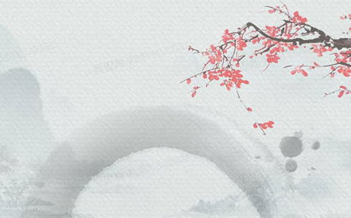 甲戌辛丑庚子乙酉姻缘(甲戌庚午辛未辛卯)