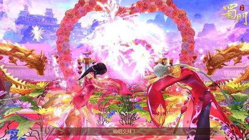 梵花录姻缘结(梵花录赠礼)