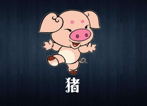 属猪求姻缘戴什么(属猪求什么佛)