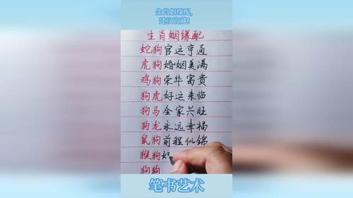 姻缘相配白首成约翻译(姻缘配对属相婚配表)