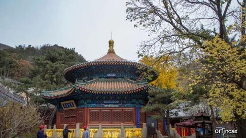 海南天宁寺求姻缘(天宁寺求什么灵验)