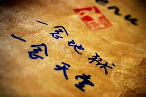 姻缘果报小说好看吗(姻缘果报小说百度网盘)