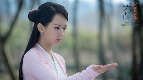 杨紫前世姻缘歌曲(杨紫前世姻缘歌曲叫什么)
