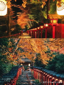 东京祈求姻缘神社在哪(东京的寺庙和神社)