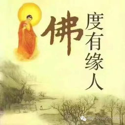 峨眉山问姻缘(峨眉山有缘人)