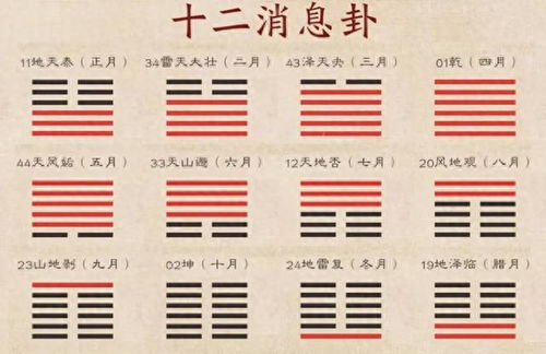大壮卦九三卦姻缘(大壮卦上九)
