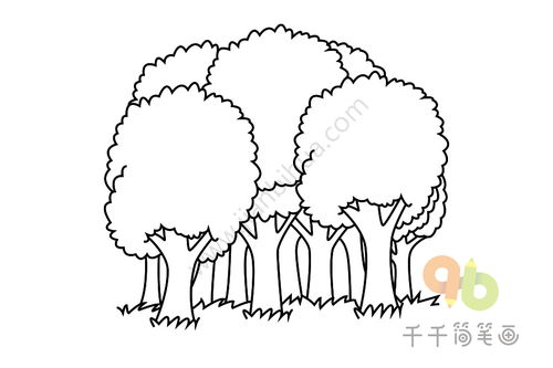 姻缘树的手绘图(姻缘树简笔画)
