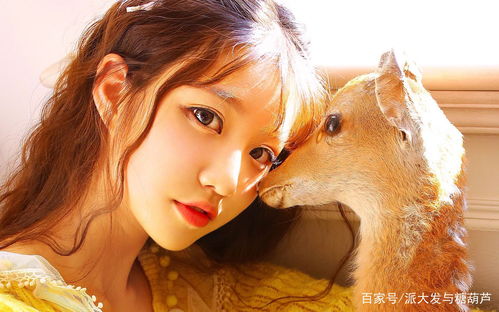 属狗白羊女生的姻缘(属狗的白羊座女人一生感情如何)