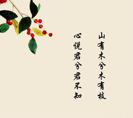 诗经中祝福找到姻缘(诗经中祝福婚姻美好诗句)