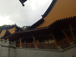 杭州天竺山求姻缘(杭州天竺寺可以住宿吗)
