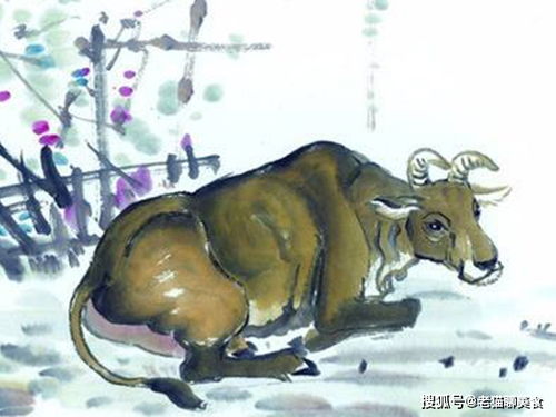 属牛10月姻缘(属牛的十月结婚哪天最好)